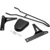 imageECOTRIC Detachable Black Backrest Sissy Bar Compatible with 2006up Harley Davidson Dyna Street Bob FXDB EFI FXDBI Super Glide FXD Custom FXDC